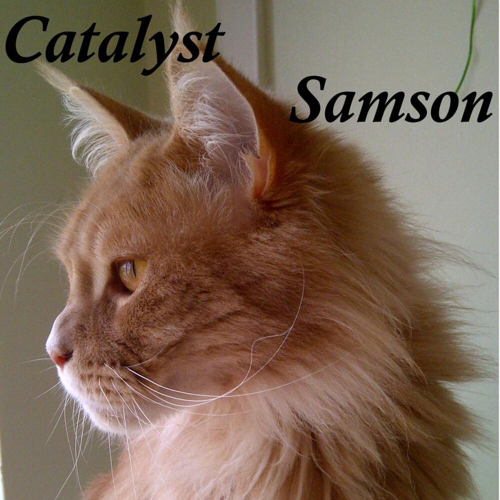 Picture of E.P Catalyst