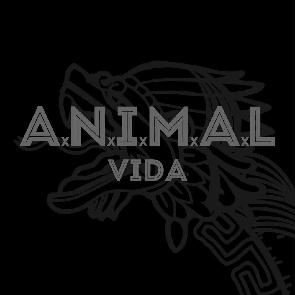 Picture of Vida