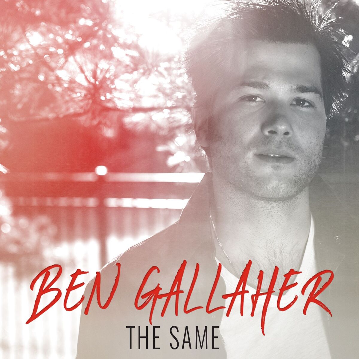 Album cover of The Same