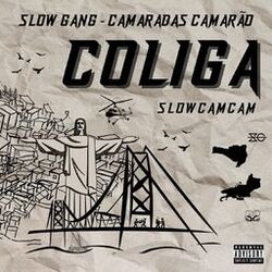 Cover of Coliga