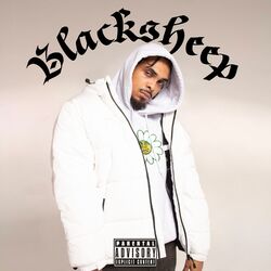 Cover of BLACKSHEEP