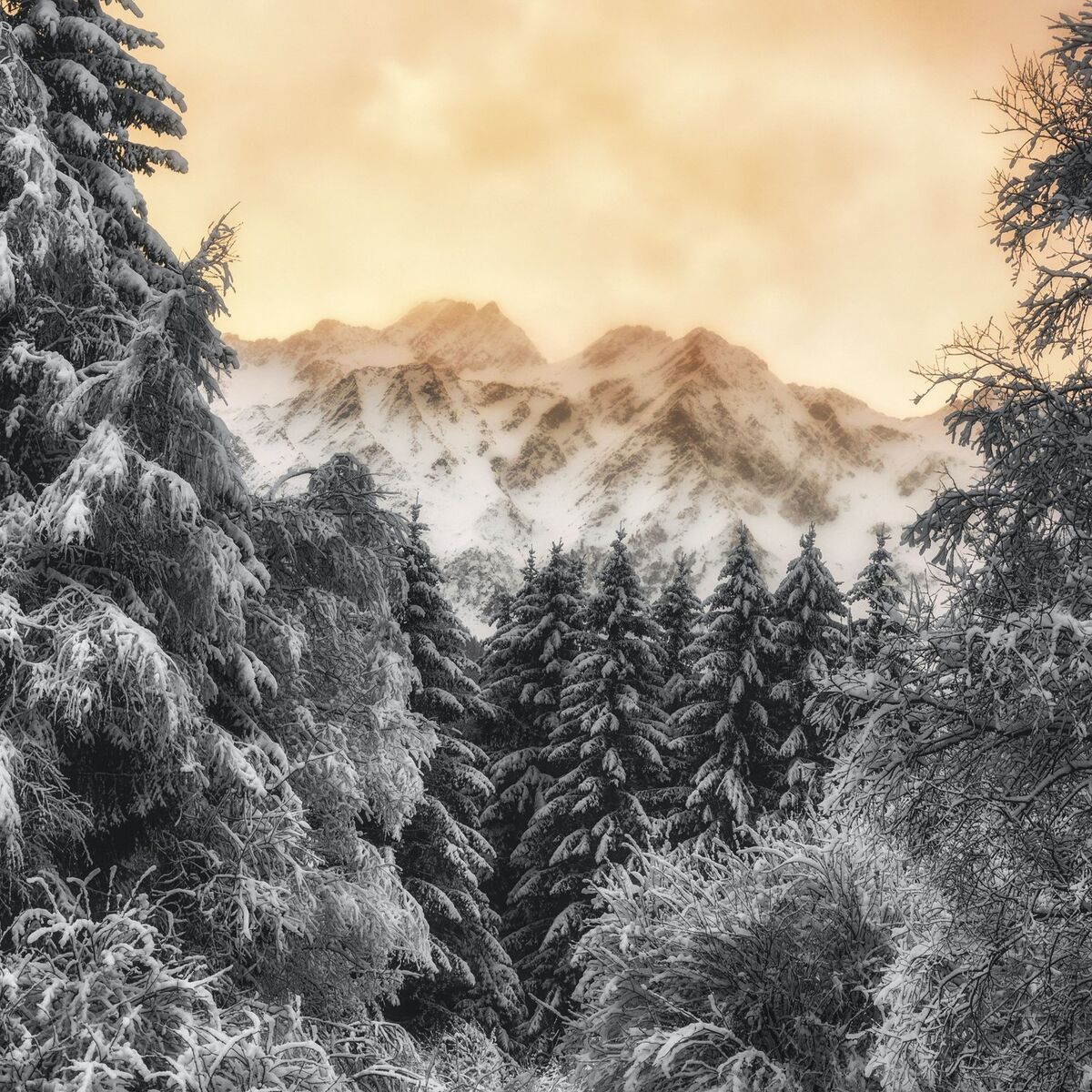 Album cover of Winter (For Bringing Us Together)