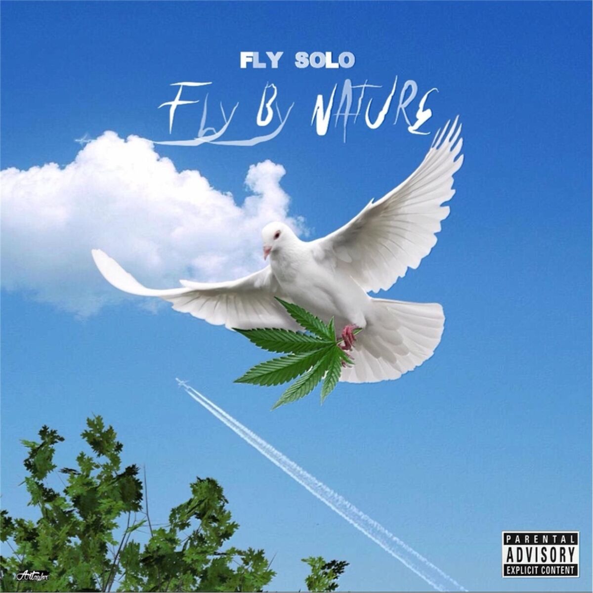 Album cover of Fly By Nature