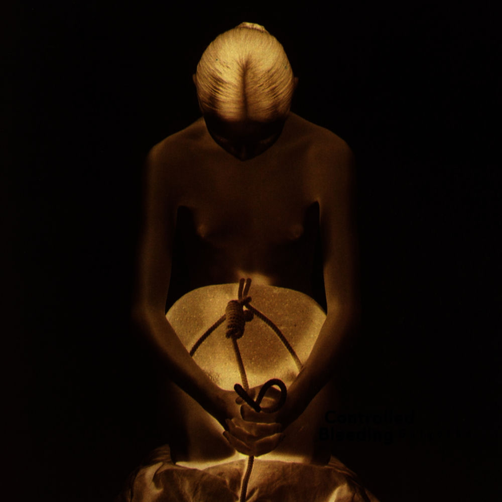 Album artwork for Swoon by Controlled