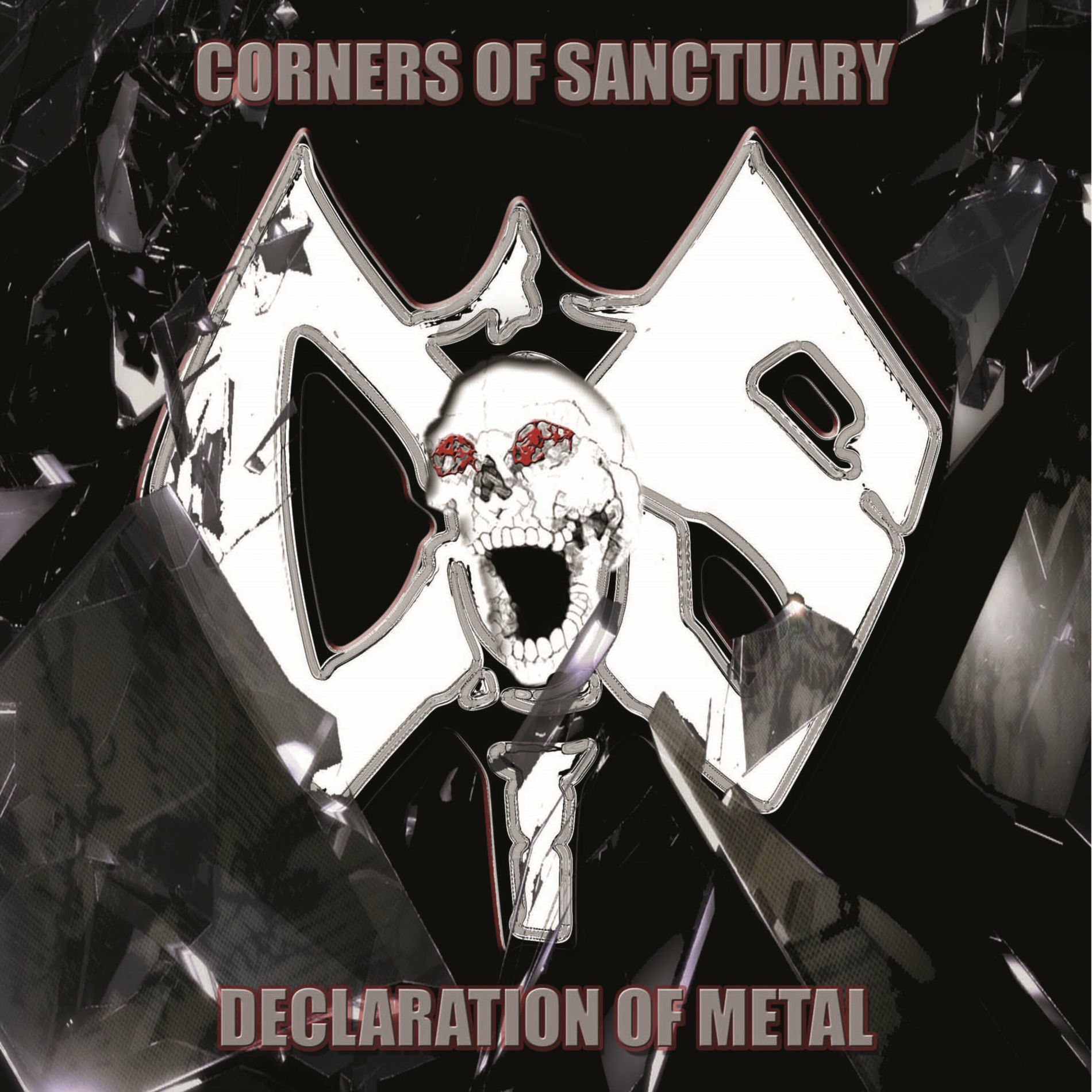 Album cover of Declaration of Metal