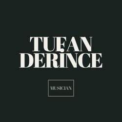 Cover of Tufan Derince ile Halaylar