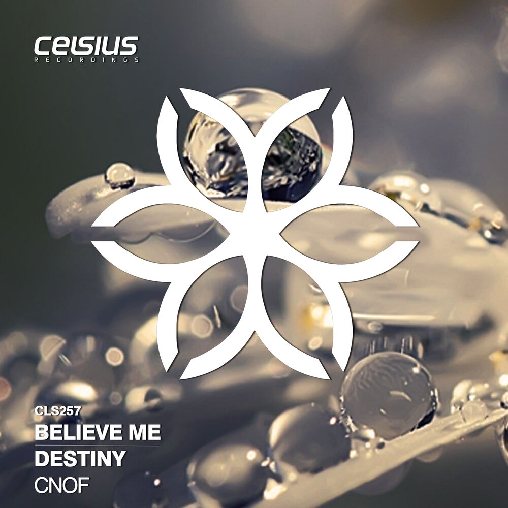 Picture of Believe Me / Destiny