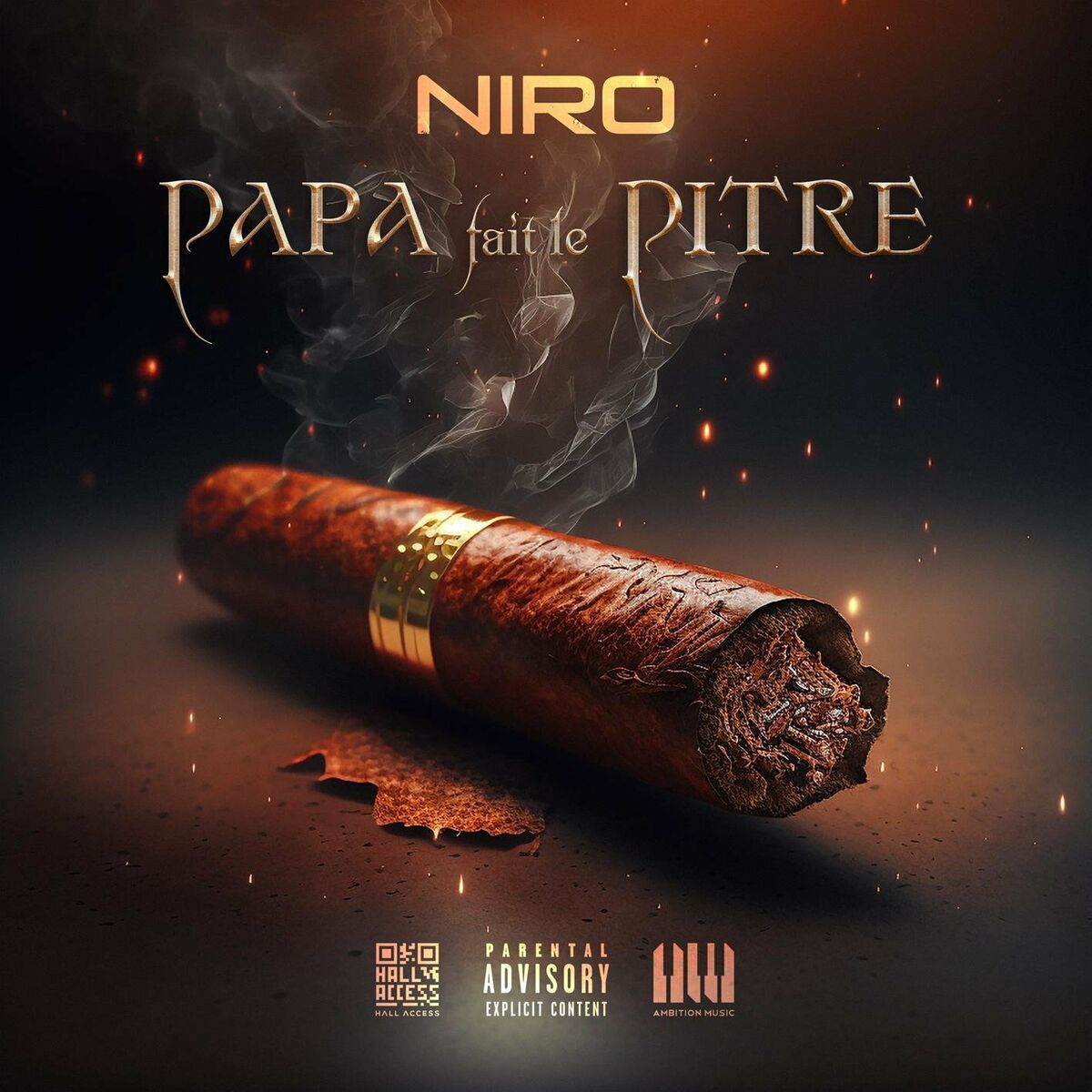 Album cover of Papa fait le pitre