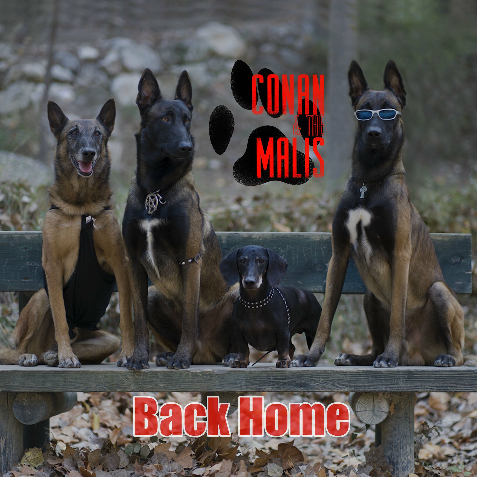 Album cover of Back Home