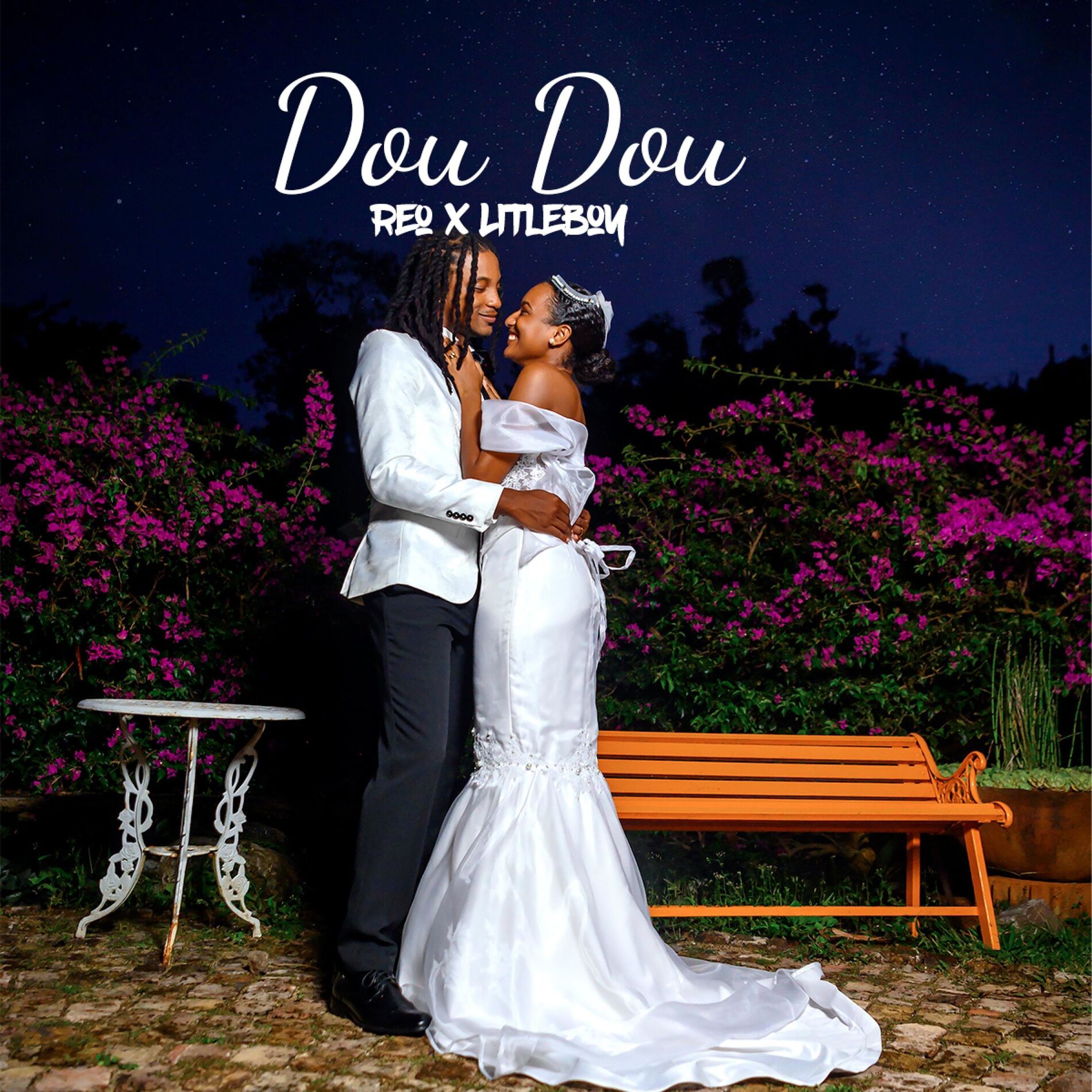Album cover of Dou dou (feat. Litleboy)