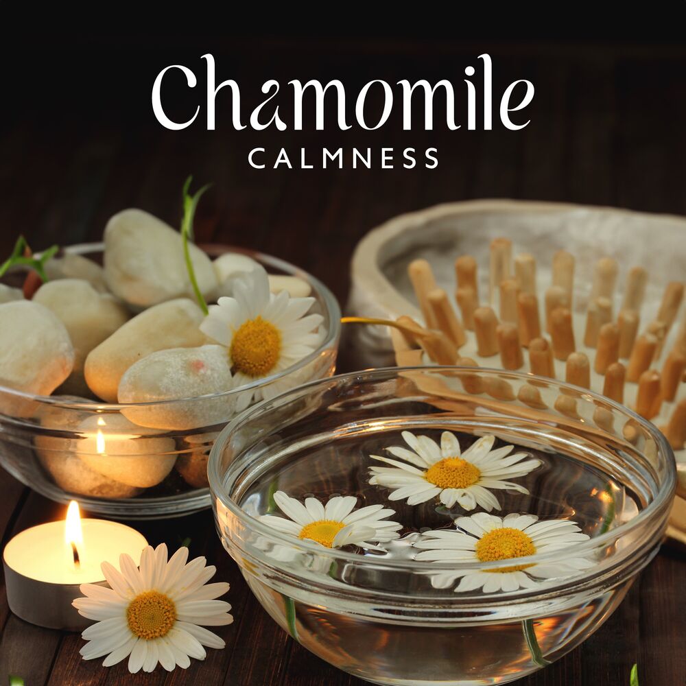 Picture of Chamomile Calmness (Home Spa Relaxation, Headache Relief, Blissful Distraction)