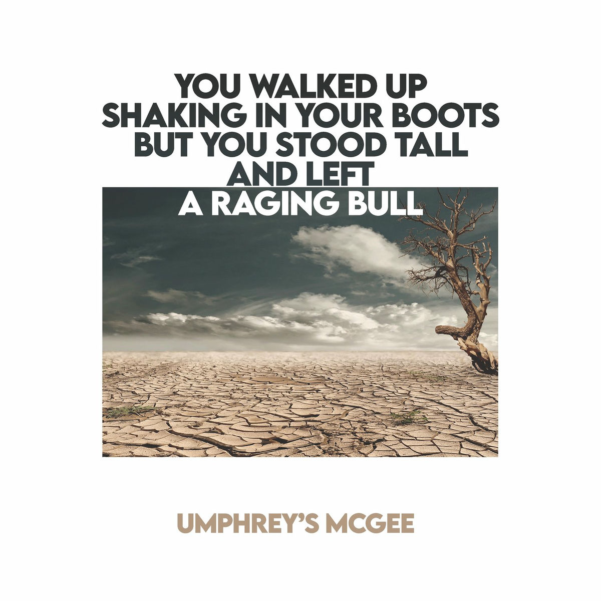 Album cover of YOU WALKED UP SHAKING IN YOUR BOOTS BUT YOU STOOD TALL AND LEFT A RAGING BULL