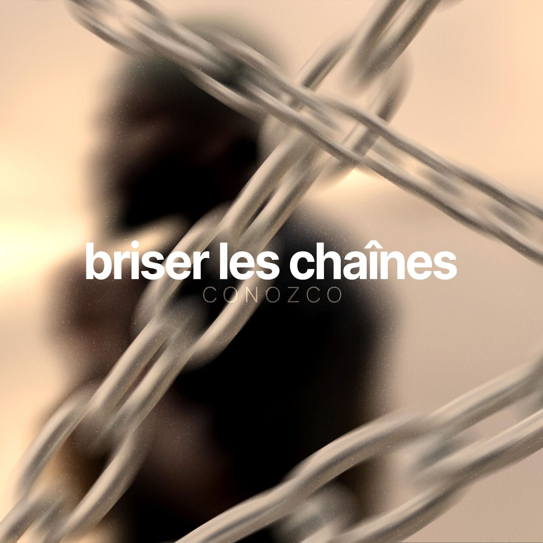 Album cover of briser les chaînes