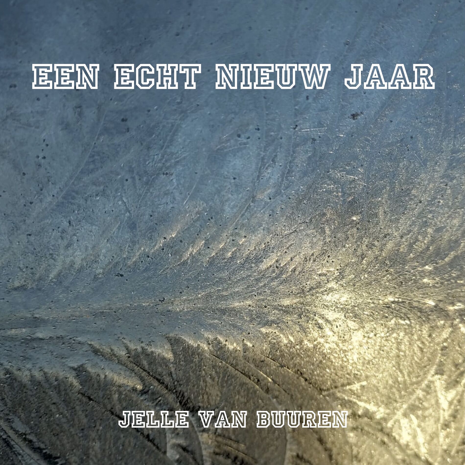 Album cover of Een echt nieuw jaar