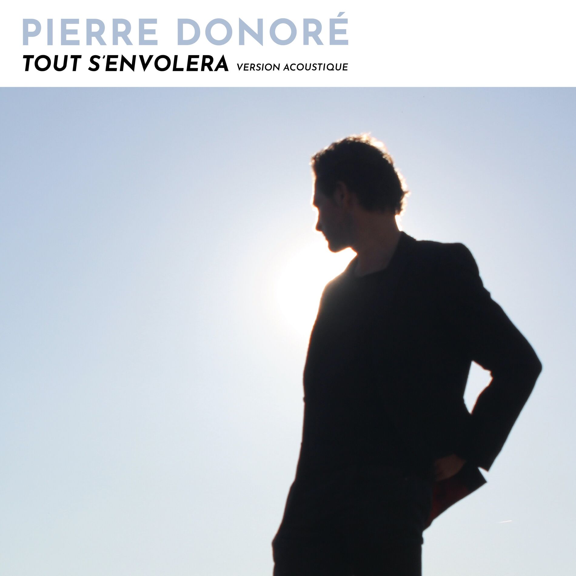 Album cover of Tout s'envolera (Version acoustique)