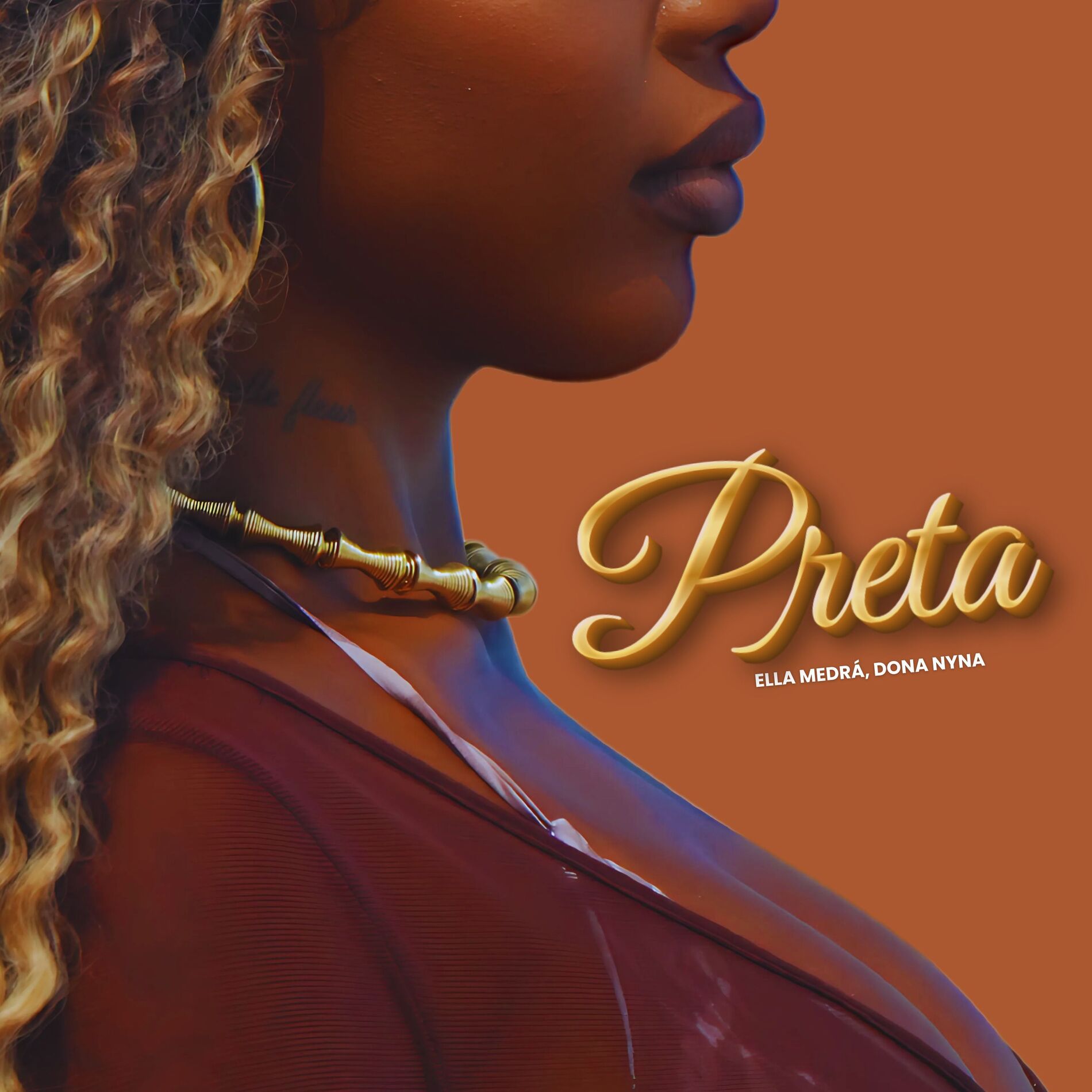 Album cover of Preta