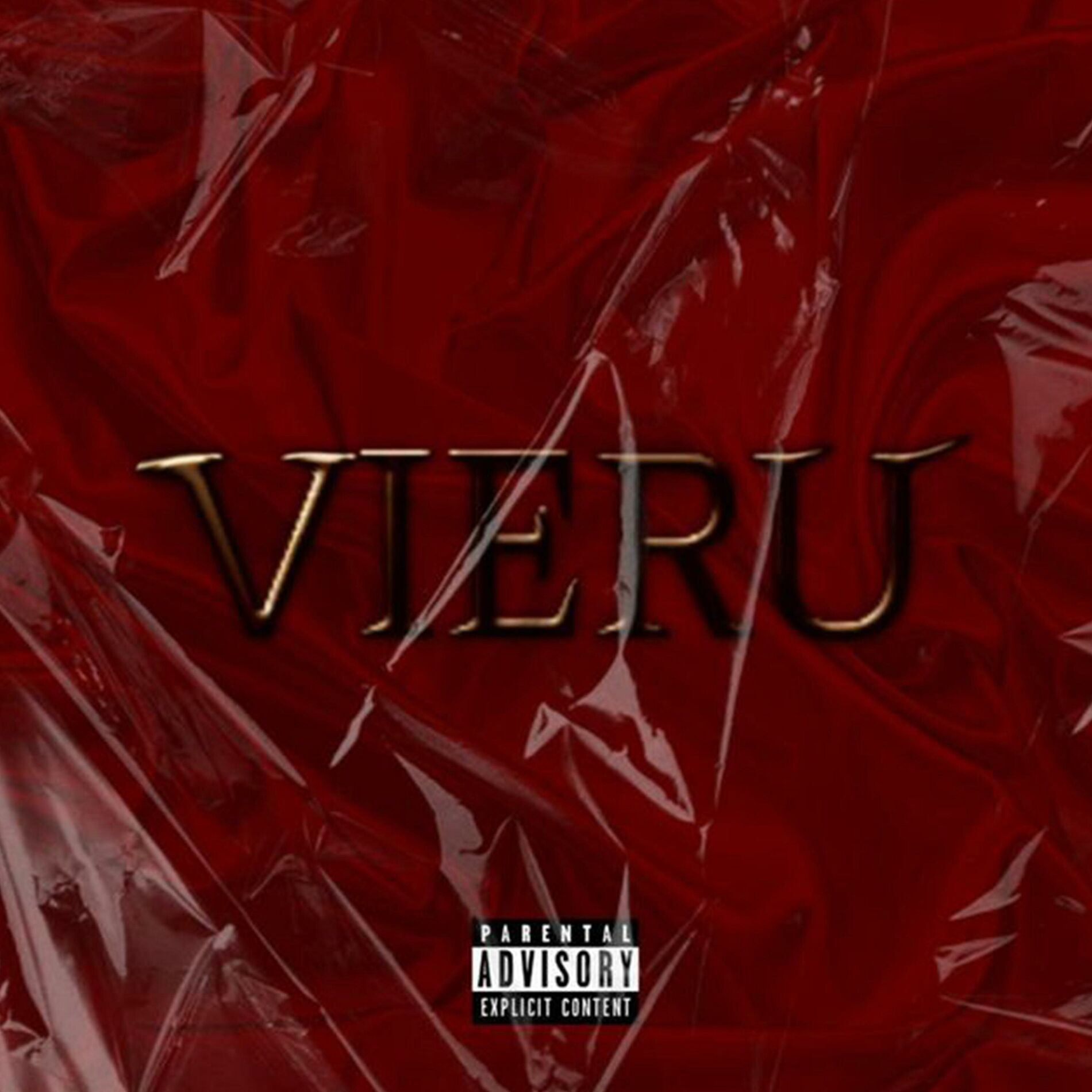 Album cover of VIERU
