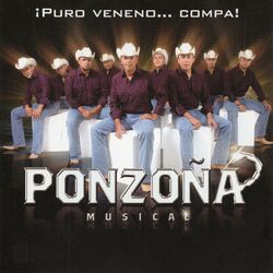 Cover of Puro Veneno… Compa