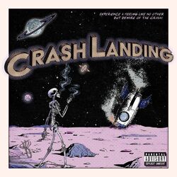 Cover of Crash Landing