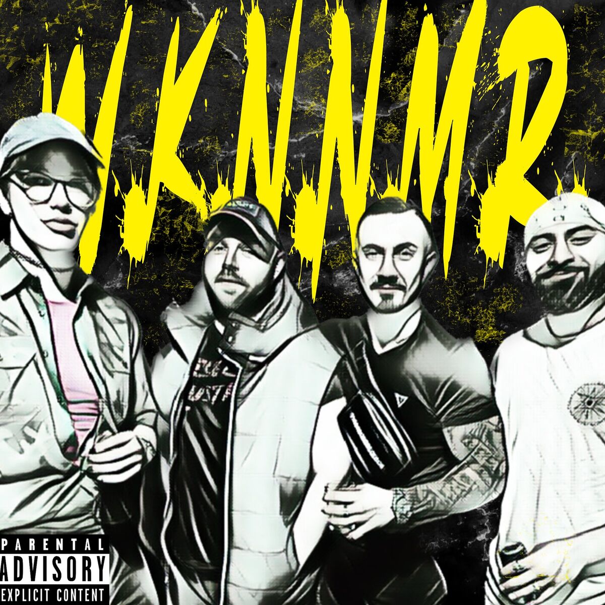 Album cover of Wir Kommen Nicht Nach Mannheim Rein!