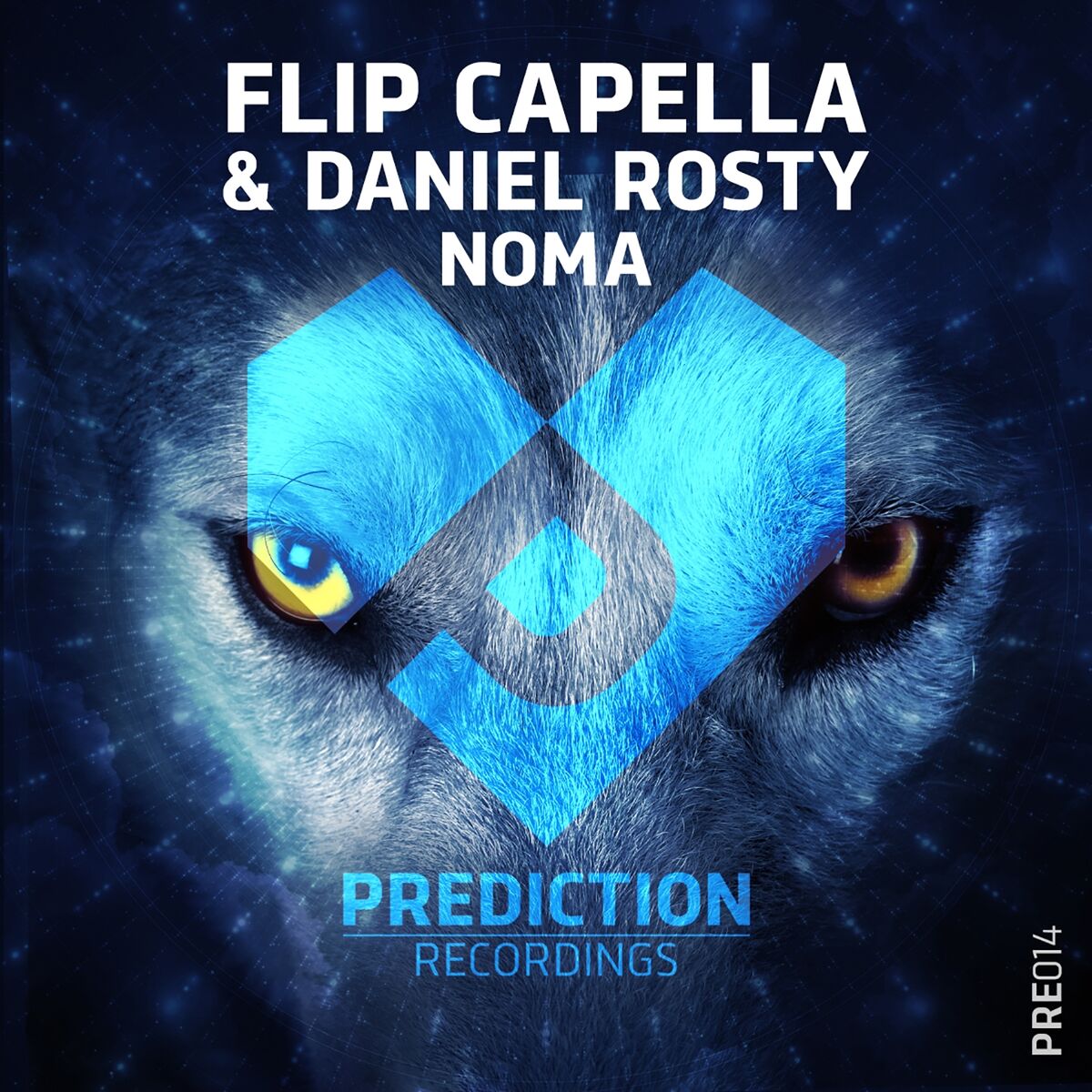 Album cover of Noma