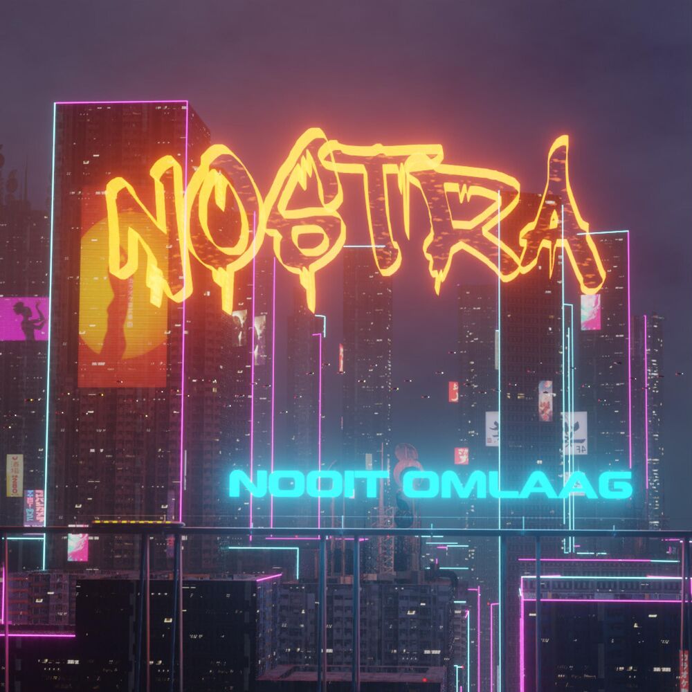 Picture of Nooit omlaag