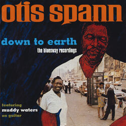 Cover of Down To Earth: The Bluesway Recordings