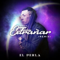 Cover of Lo Vas a Extrañar (Remix)