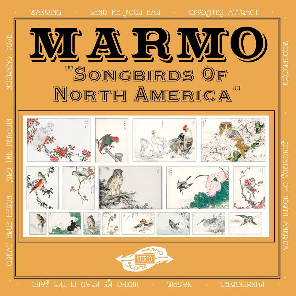 Picture of Songbirds of North America