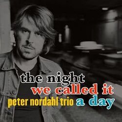 Cover of The Night We Called It A Day