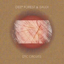 Cover of Epic Circuits