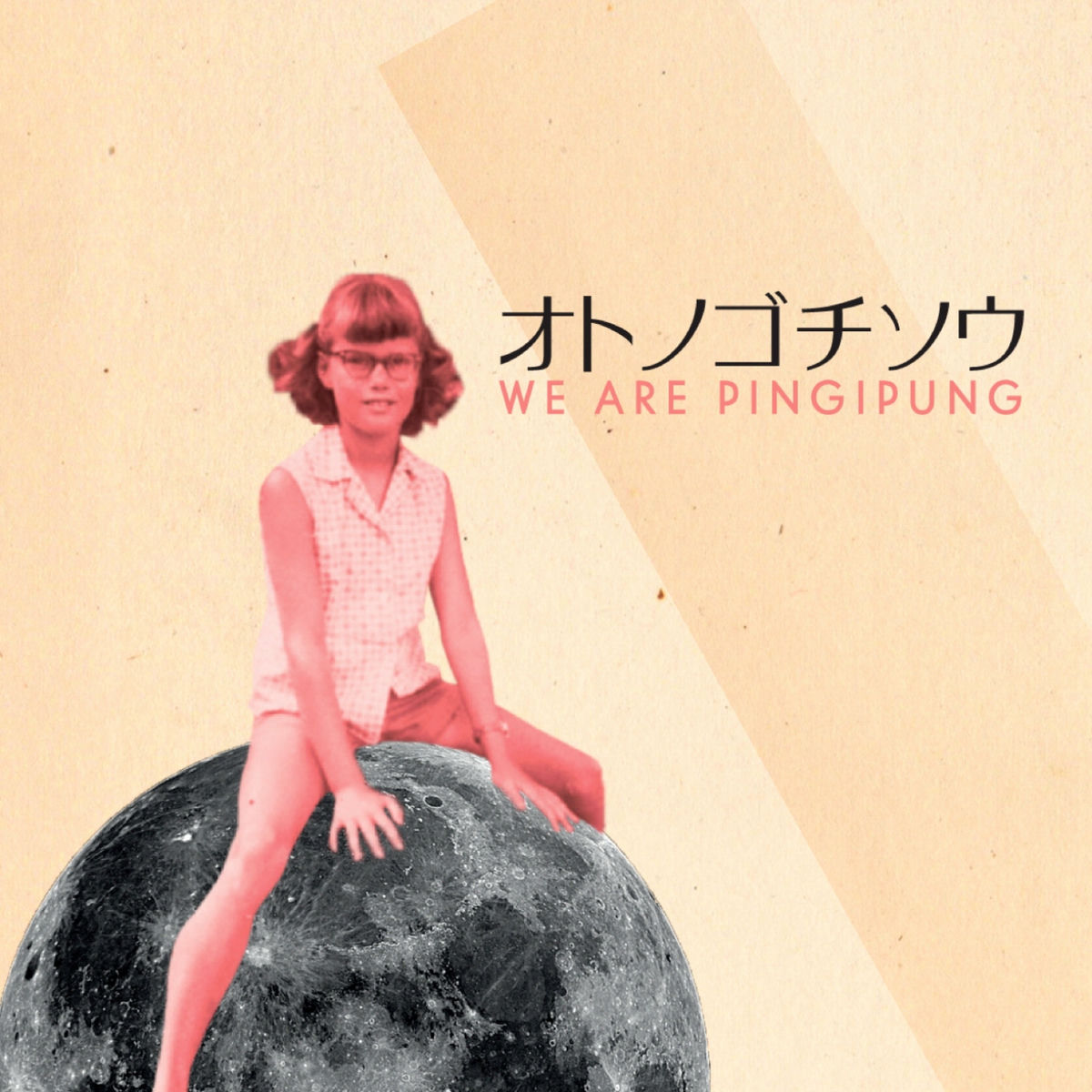 Album cover of We Are Pingipung
