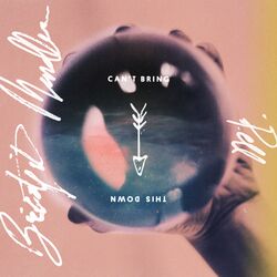 Cover of Can't Bring This Down
