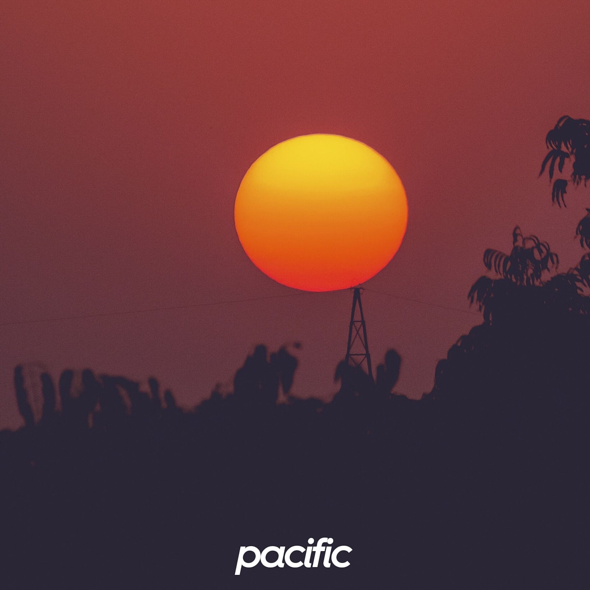Album cover of Gimme Love
