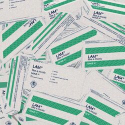 Cover of Lam