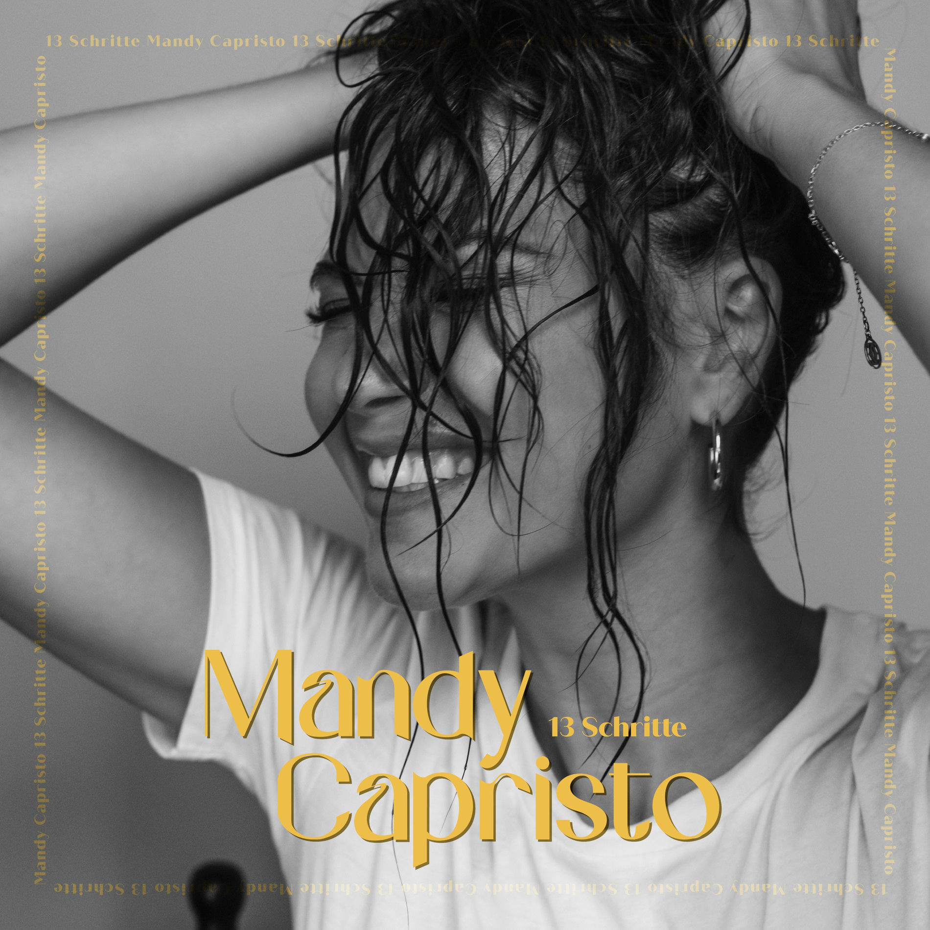 Album cover of 13 Schritte