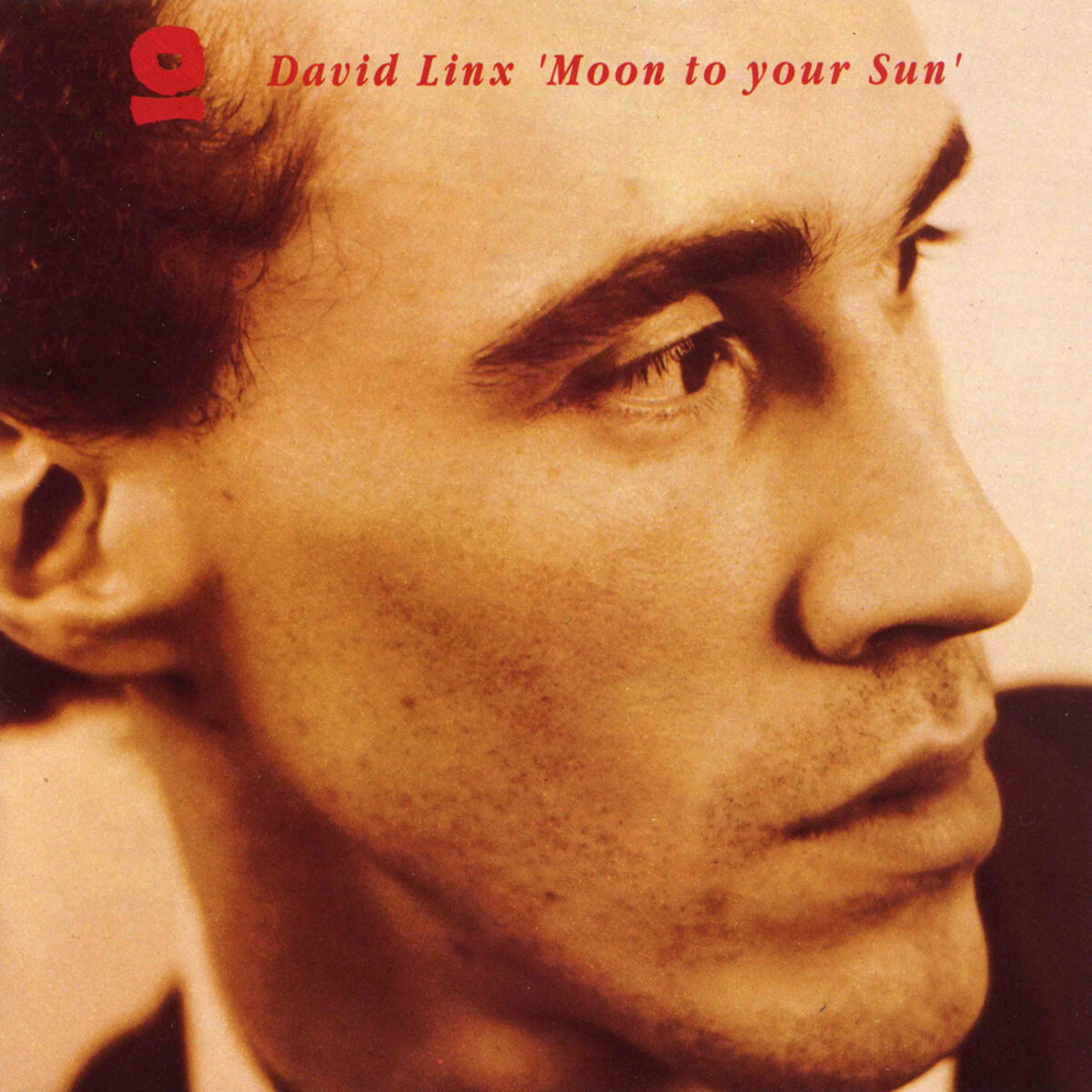 Album cover of Moon to Your Sun