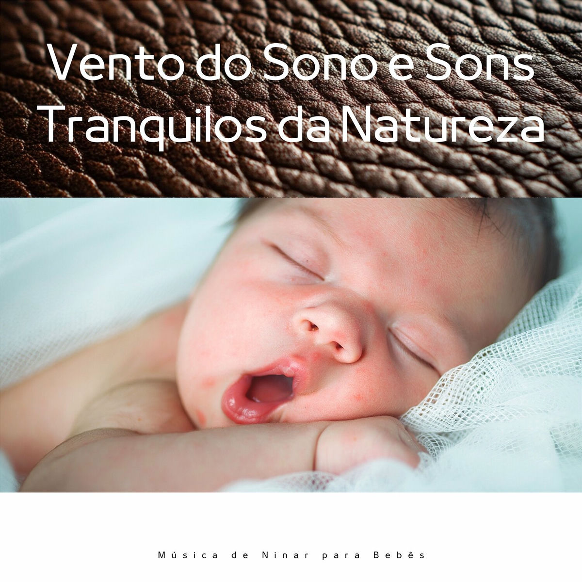 Album cover of Vento do Sono e Sons Tranquilos da Natureza