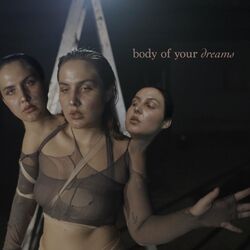 Cover of body of your dreams