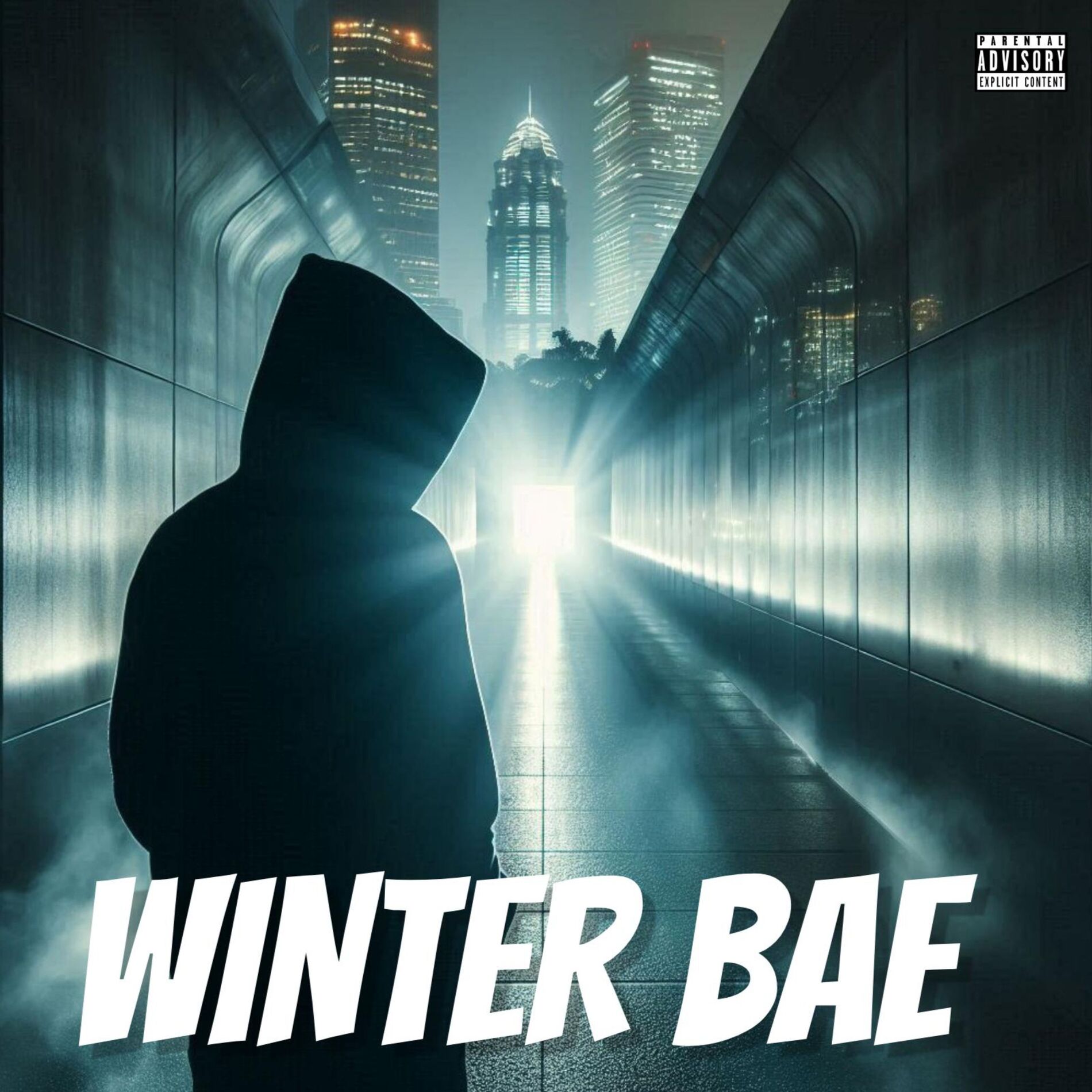 Album cover of Winter Bae