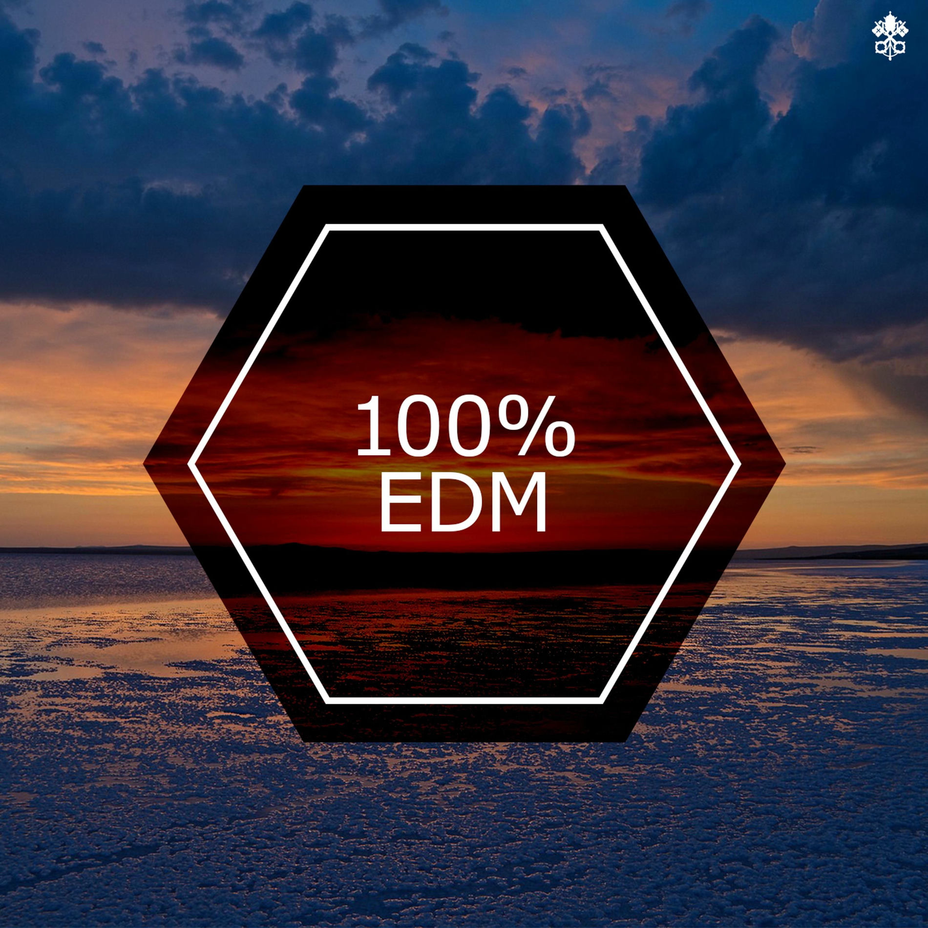 Album cover of 100% EDM
