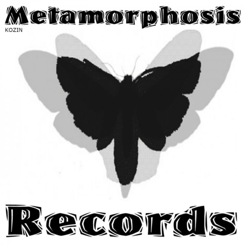 Picture of Metamorphosis