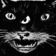 Negro Gato