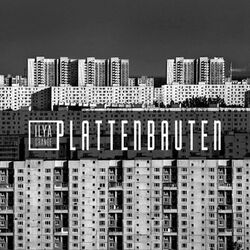 Cover of Plattenbauten