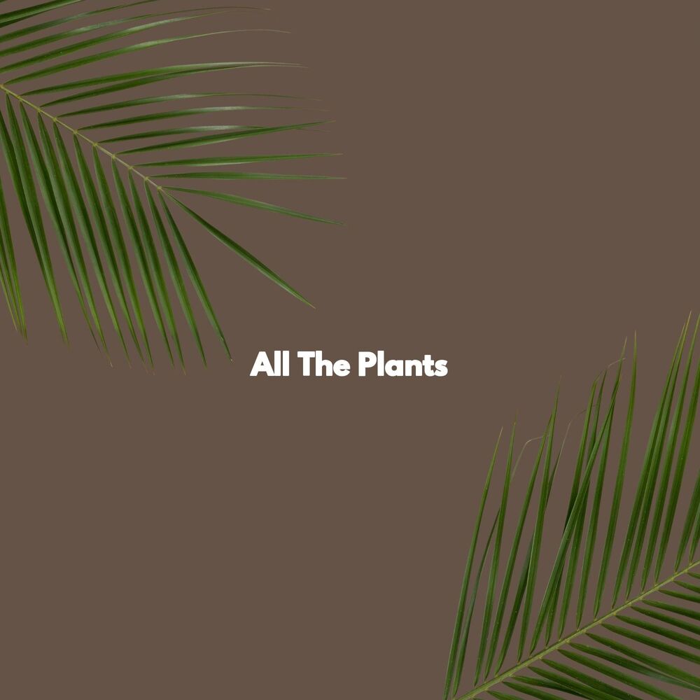 Picture of All The Plants