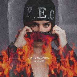 Cover of P. E. C