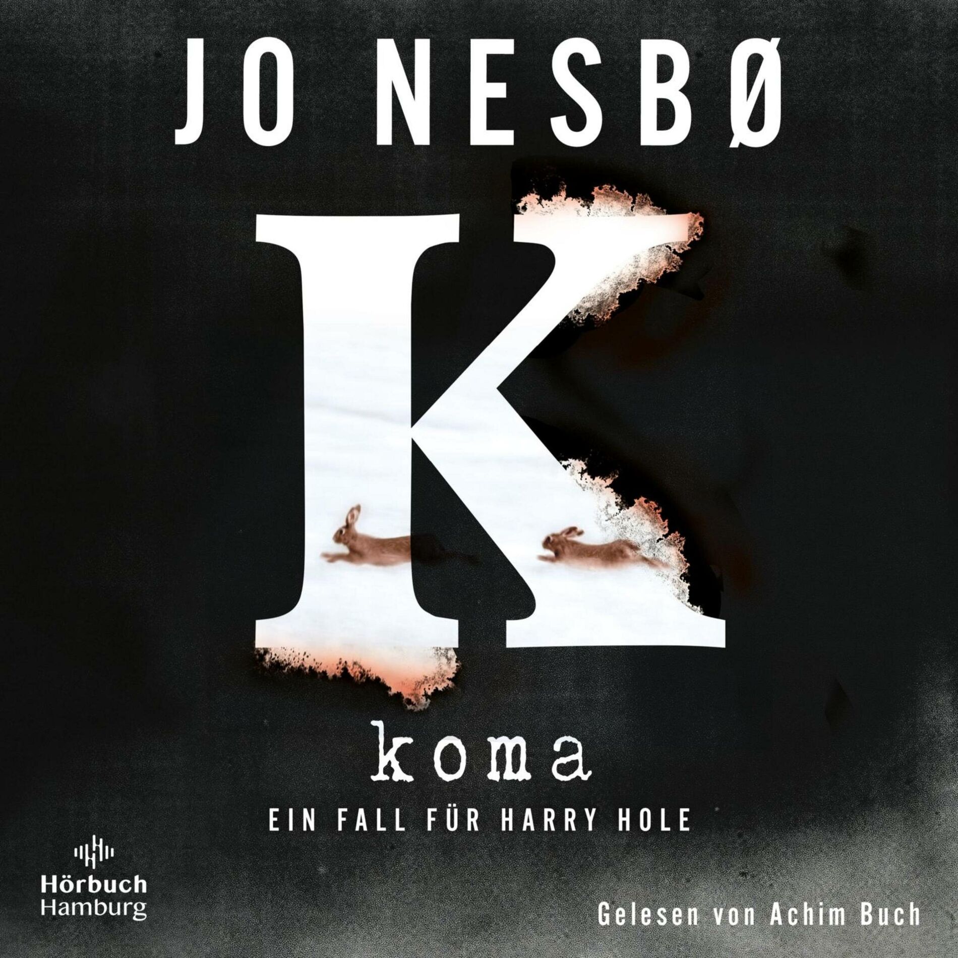 Album cover of Koma (Ein Harry-Hole-Krimi 10)