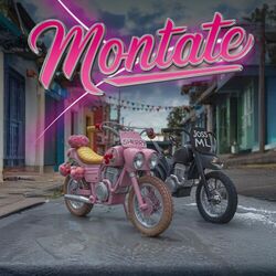 Cover of Montate