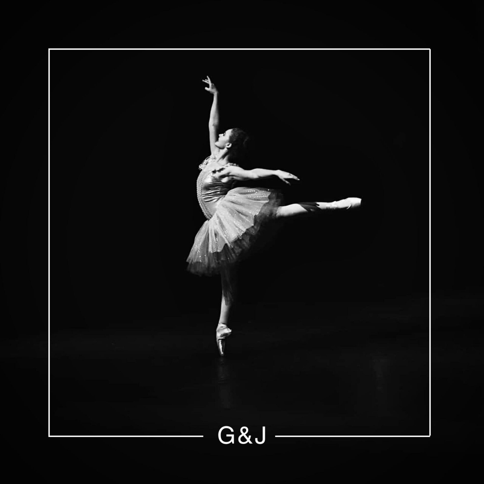 Album cover of Swan Lake (Techno Mix)