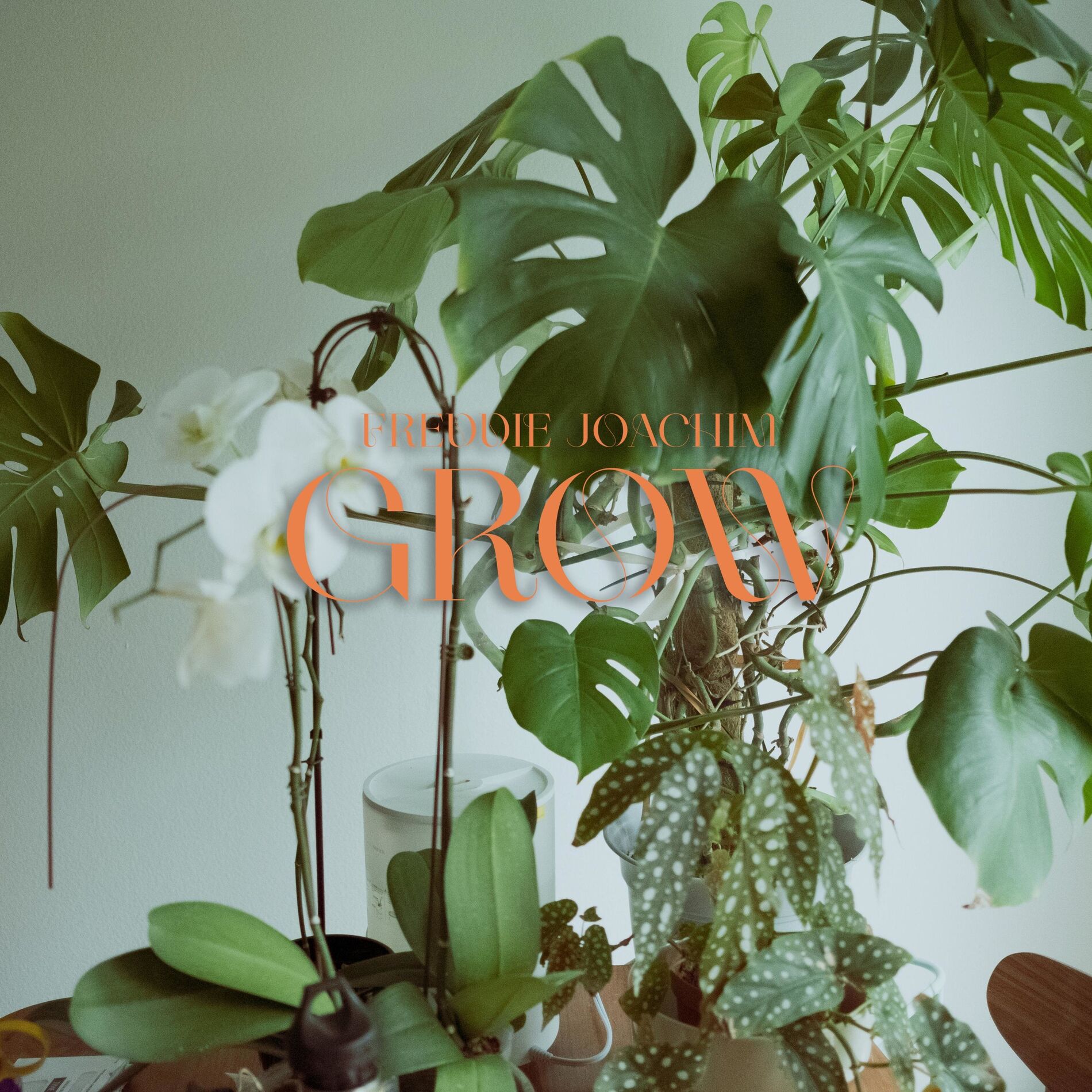 Album cover of Grow
